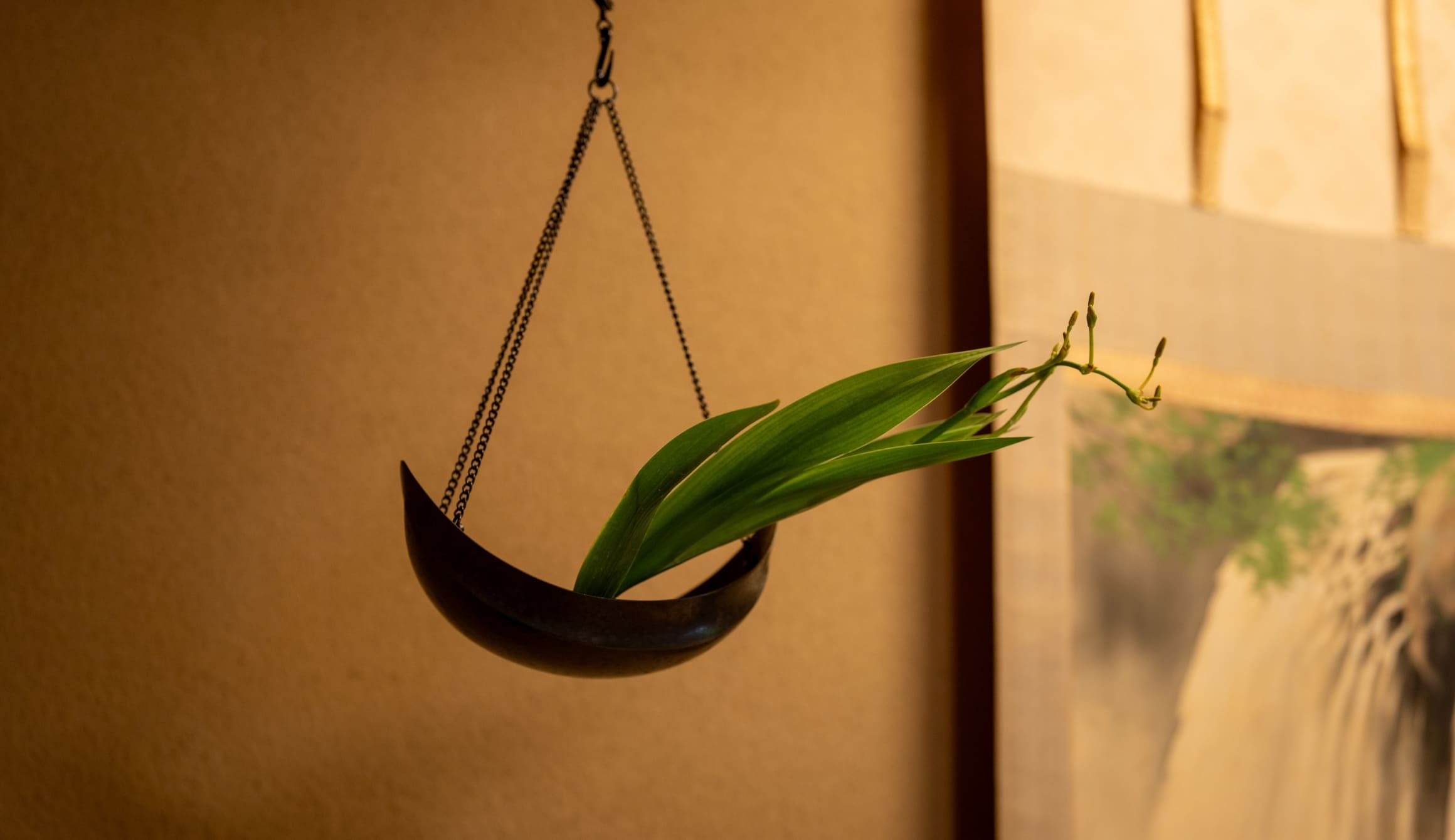 菊の間の画像5