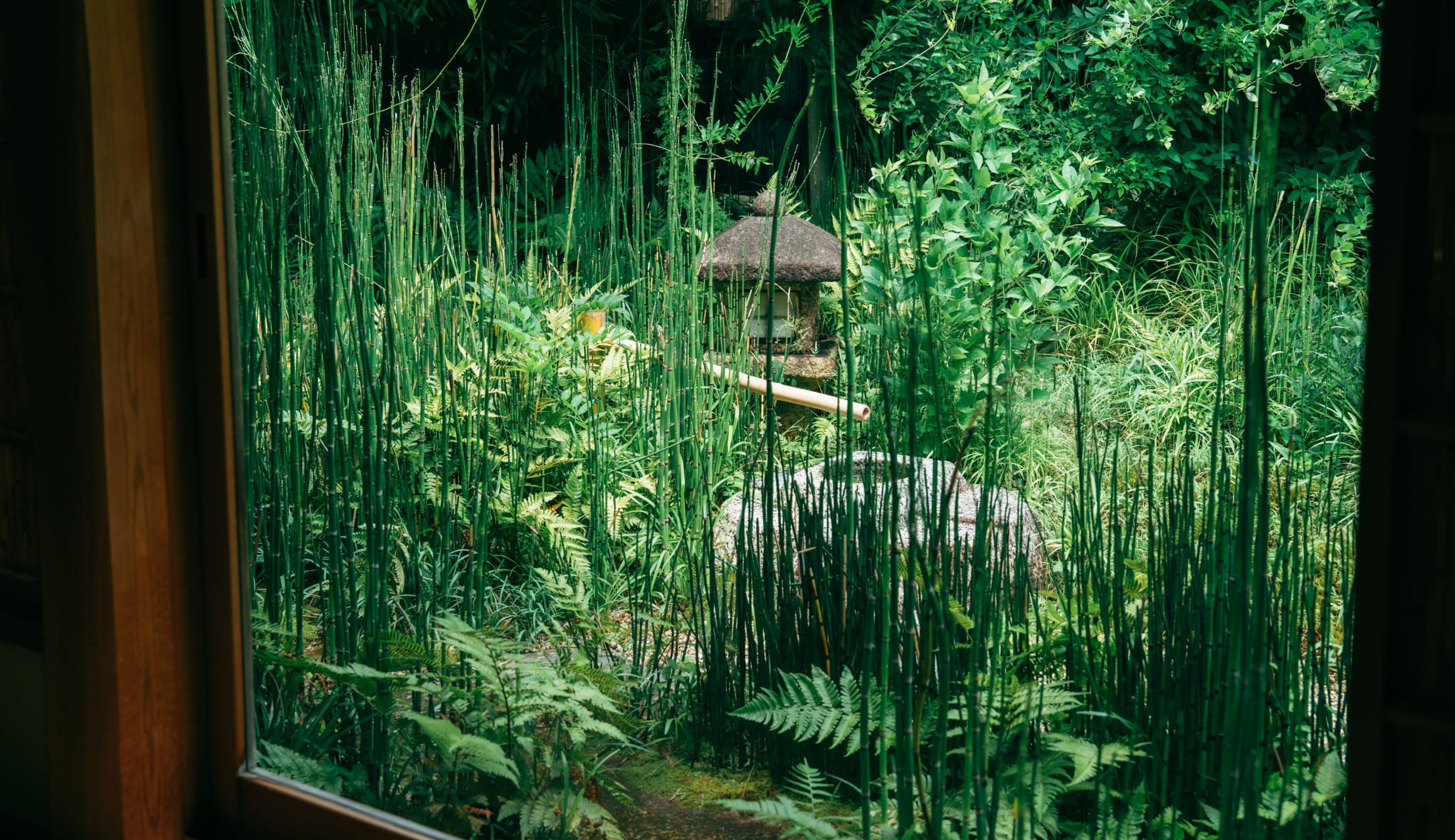 芙蓉の間の画像5