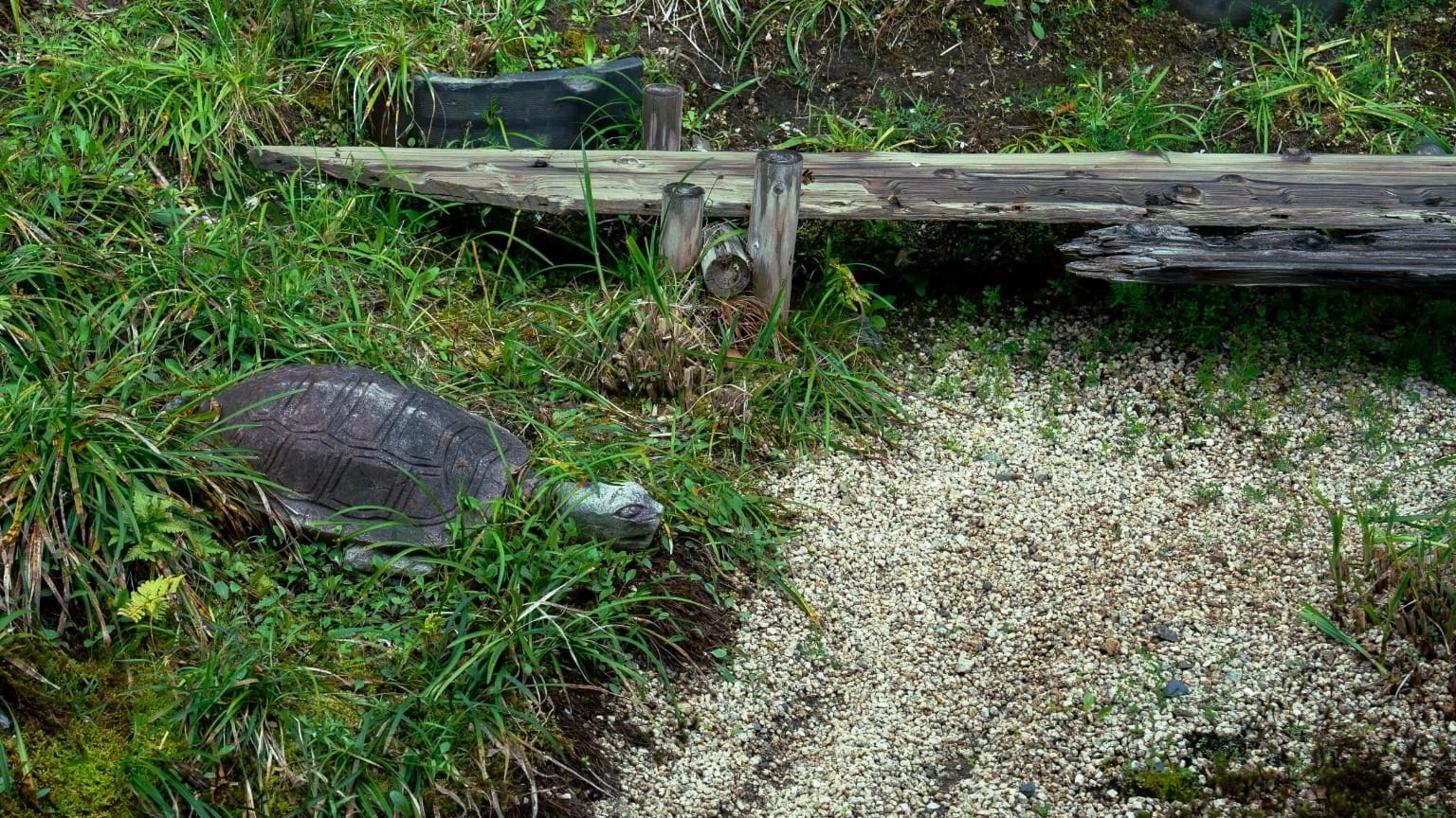 明貫造園による作庭。桟橋に見立てた古木は、約200年前の丸子船に使われていたもの。