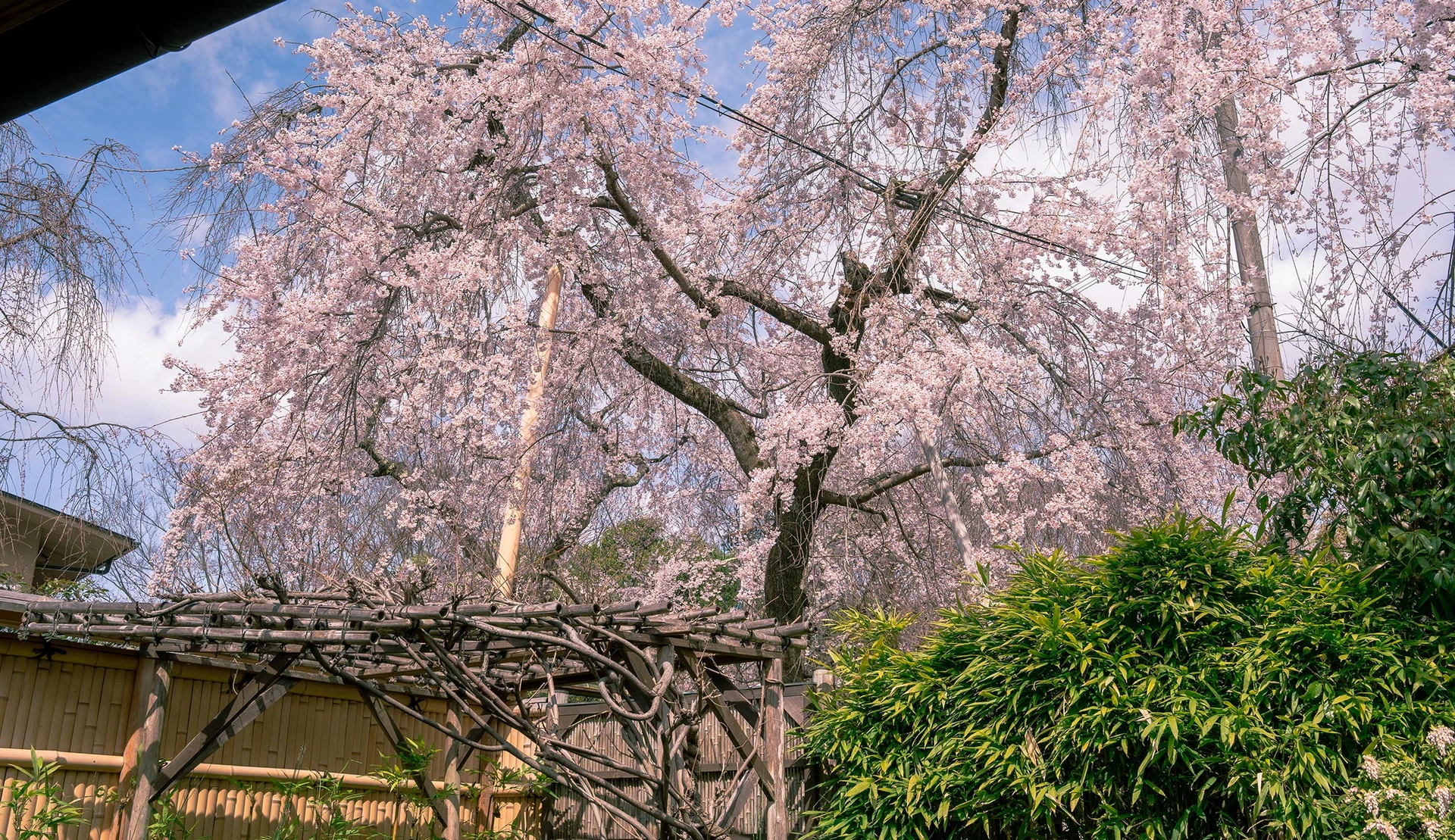 芙蓉の間の画像4