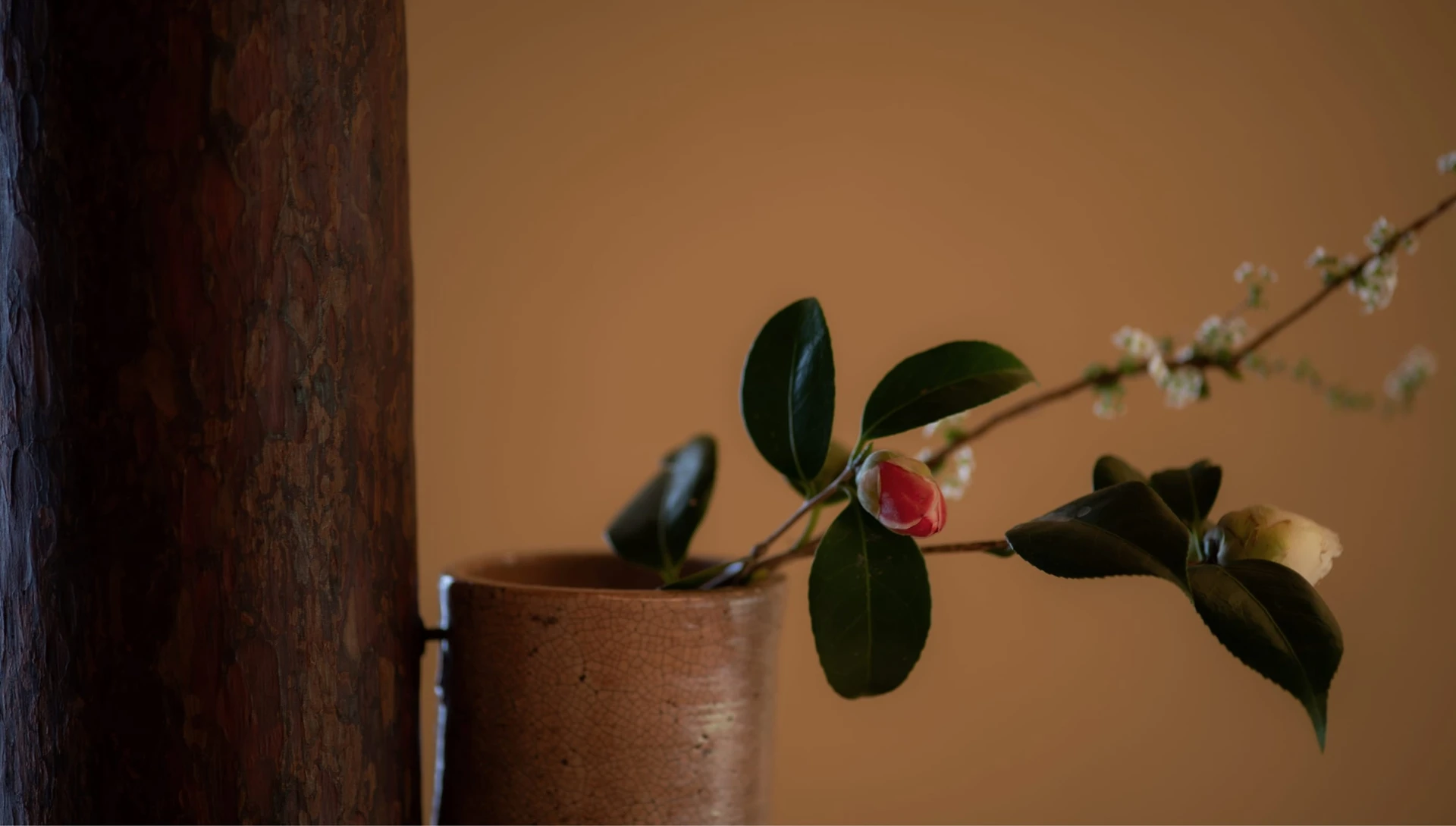 季節の花の画像