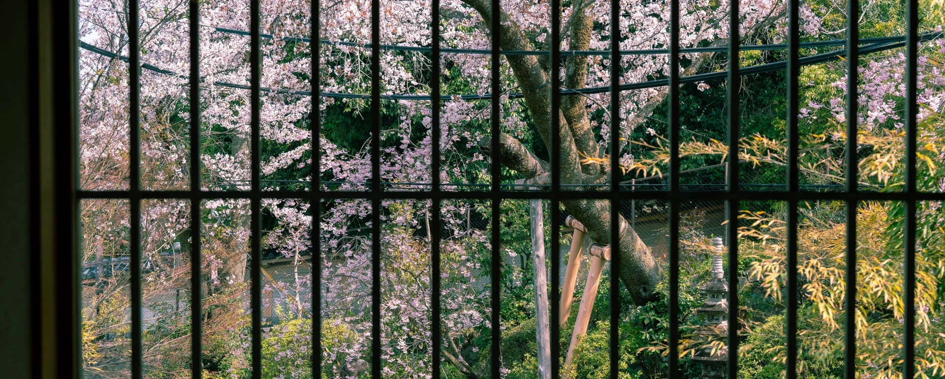 菊の間の全体画像