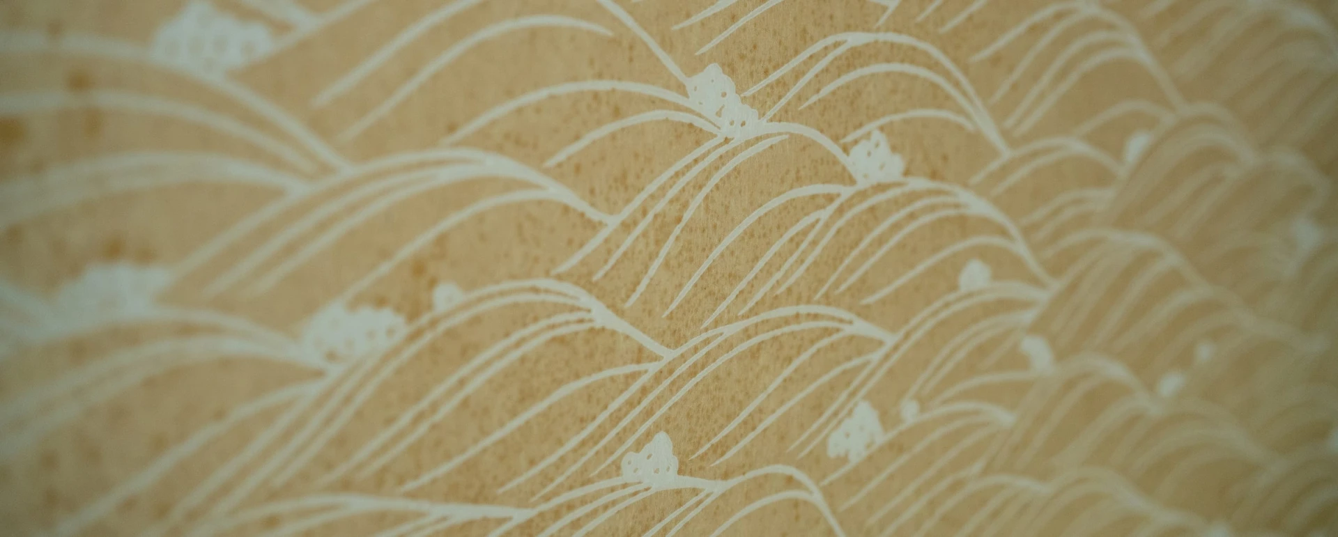 蘭の間の全体画像