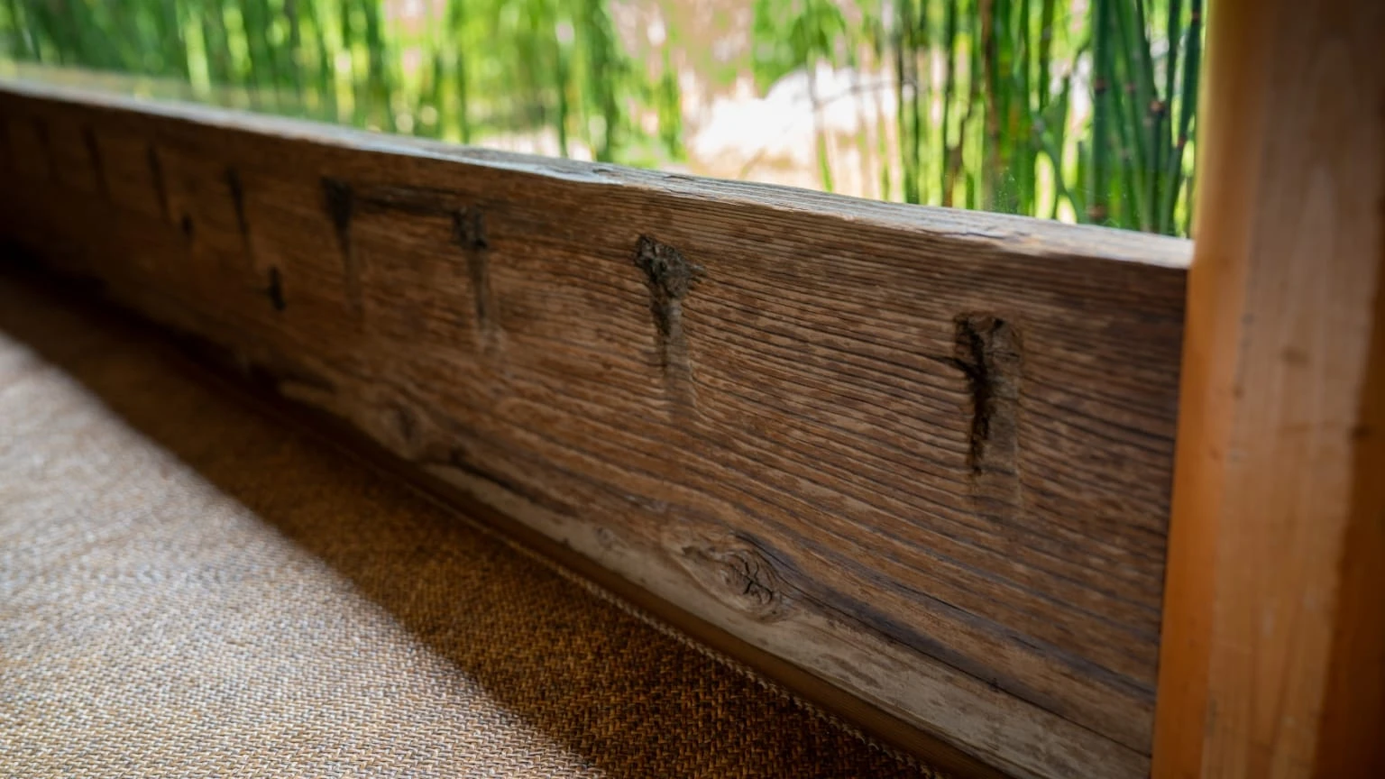 かつて琵琶湖の水運を担った丸子船。その古い船板が、窓の下の腰板に。