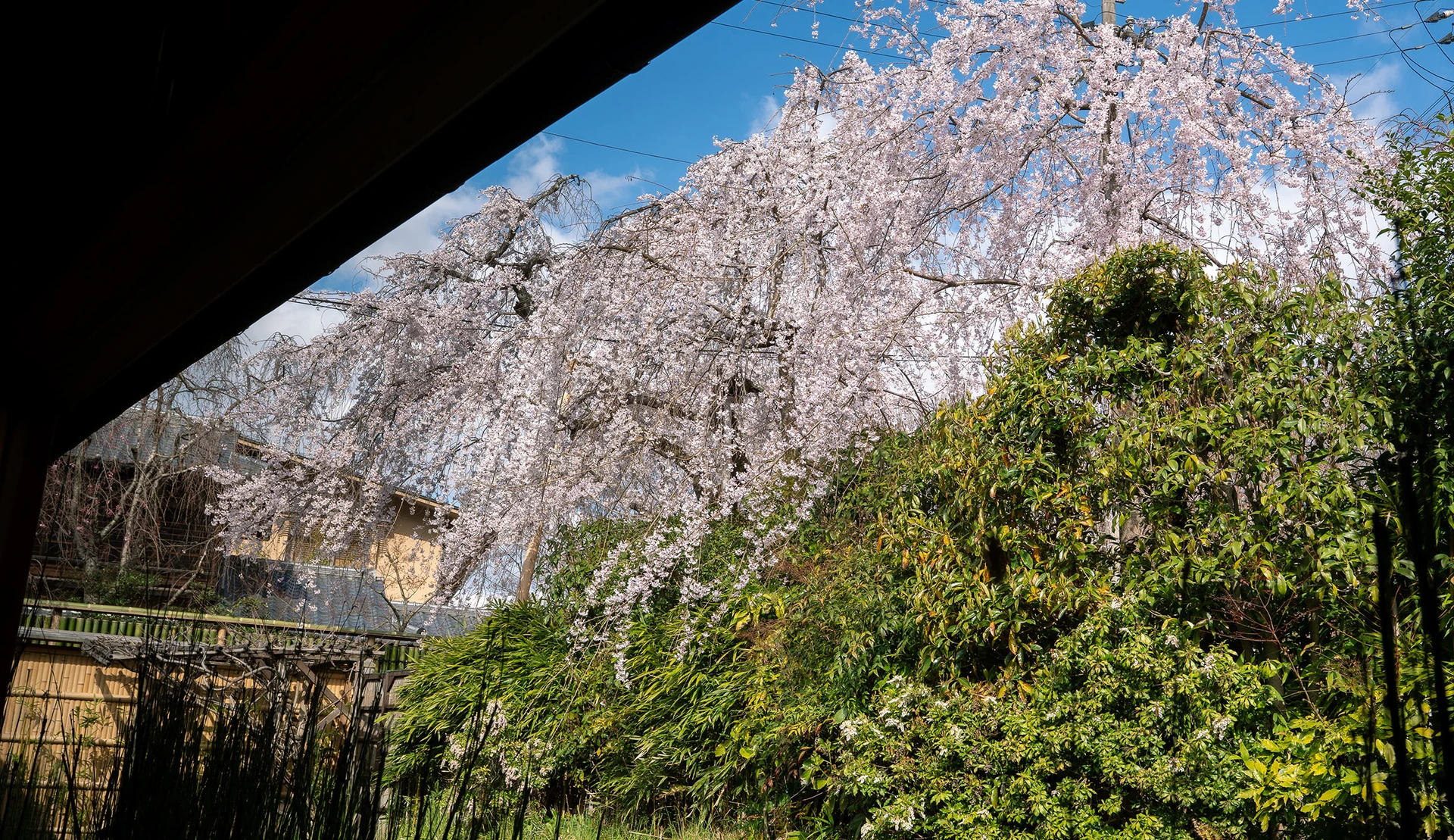 木賊の間の画像5